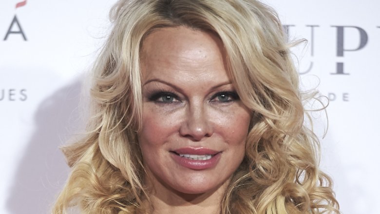 Meghan McCain et Pamela Anderson s’affrontent à The View