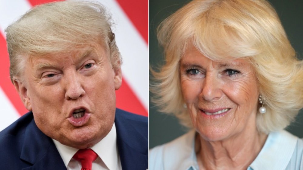 Donald Trump et Camilla Parker Bowles