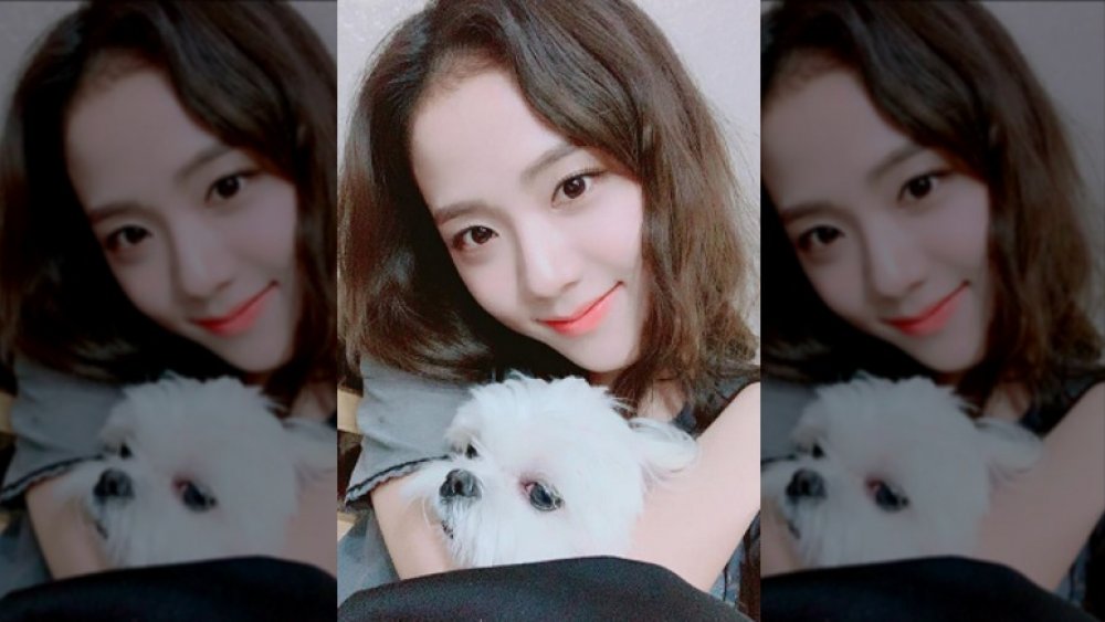 Jisoo de Blackpink révèle ses hobbies surprenants