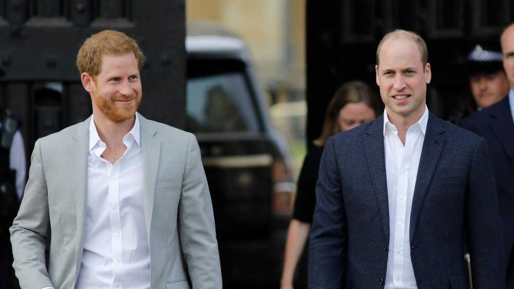 Prince Harry, Prince William