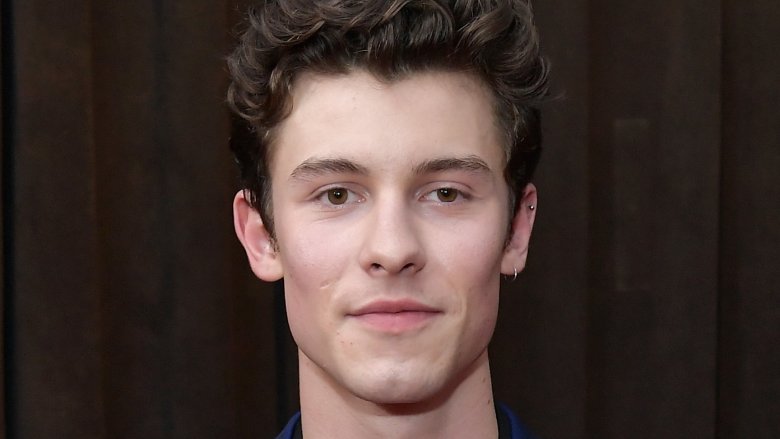 Shawn Mendes