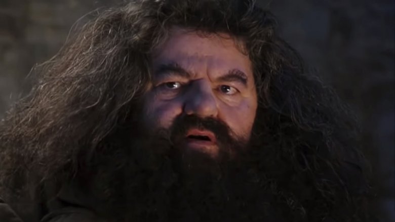 Robbie Coltrane en tant que Hagrid dans Harry Potter