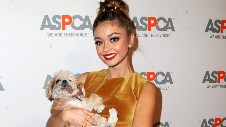 Sarah Hyland, Wells Adams