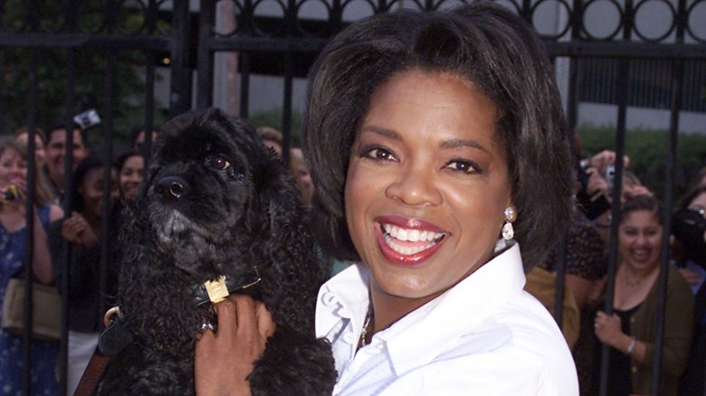 Oprah Winfrey avec son chien Sophie