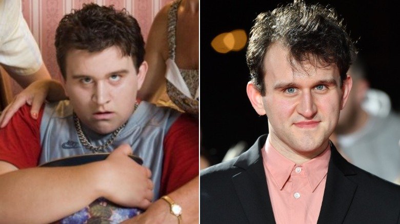 Dudley Dursley, Harry Melling