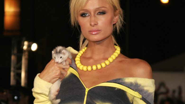 Paris Hilton