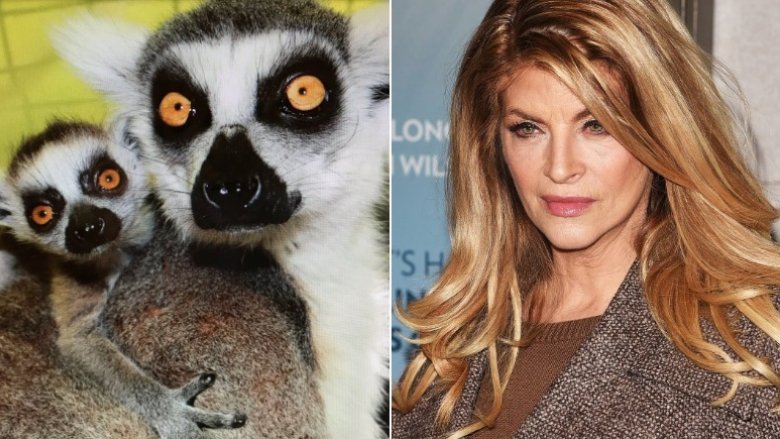 Kirstie Alley Lemurs