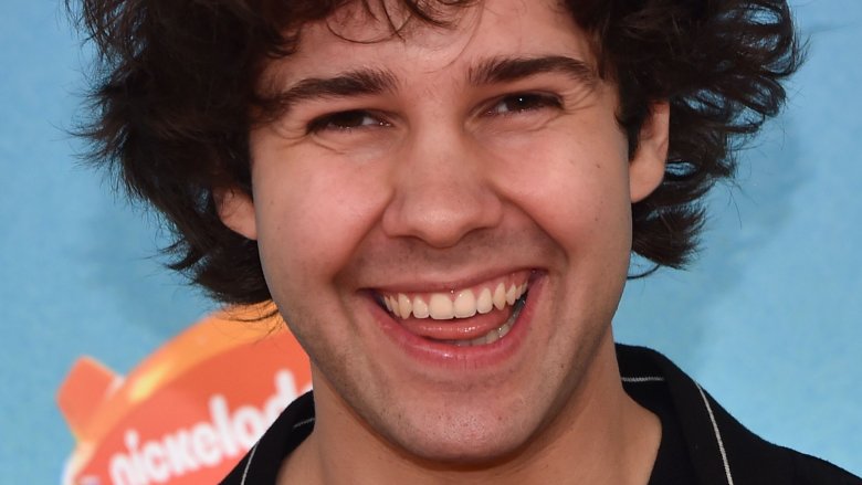 La vérité indescriptible de David Dobrik