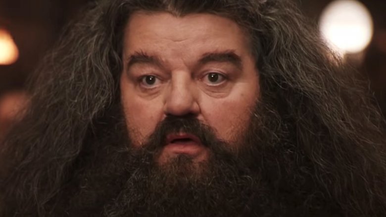 Robbie Coltrane en tant que Hagrid dans Harry Potter