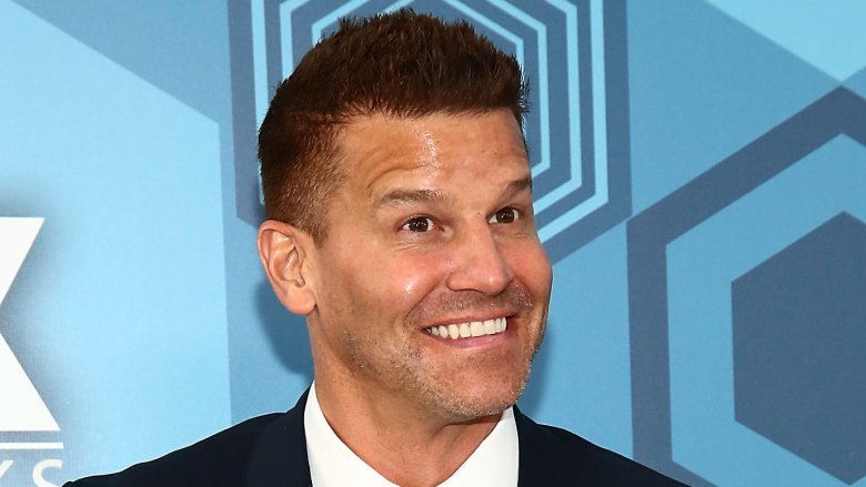 David Boreanaz