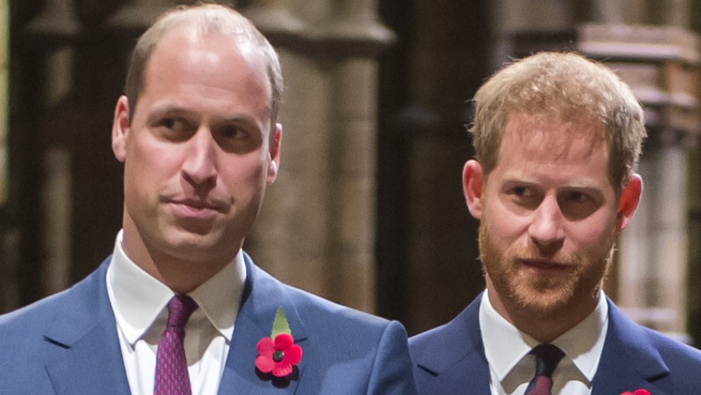 Prince William, Prince Harry