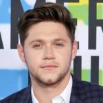 La vérité indescriptible de Niall Horan