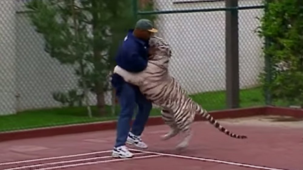 Mike Tyson avec un tigre