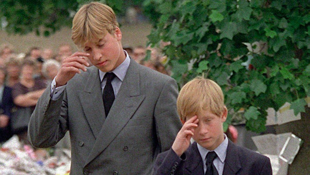 Le prince William et le prince Harry après la mort de la princesse Diana