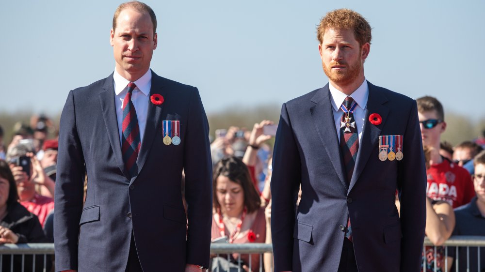 Prince William, Prince Harry debout ensemble