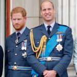 C’est pourquoi la monarchie britannique dépend de Harry et William pour mettre fin à leur querelle