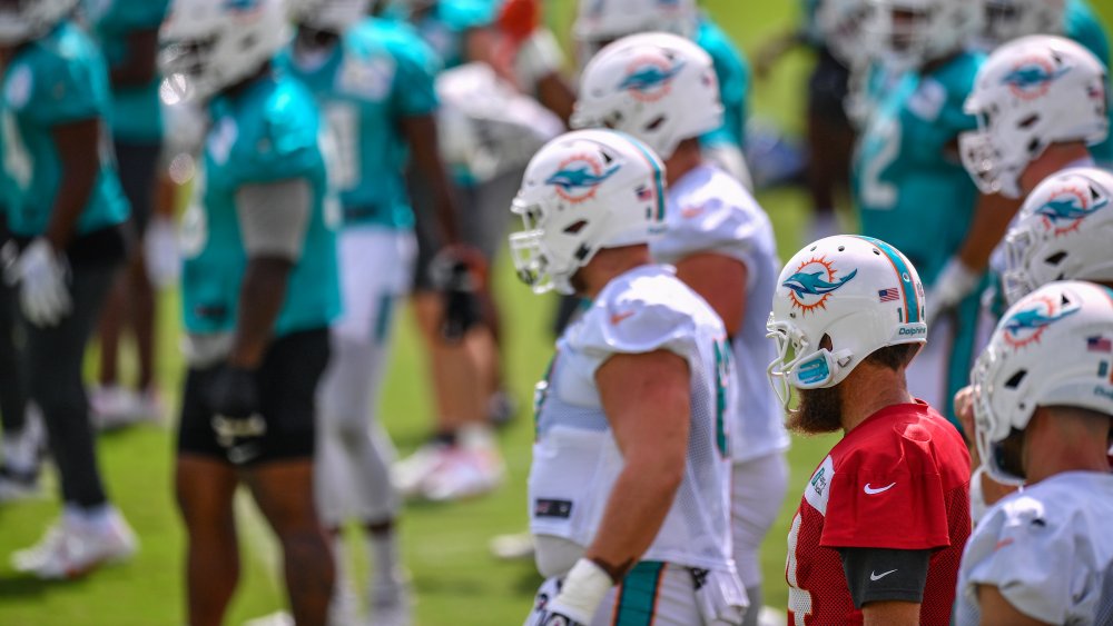 Dolphins de Miami marchant sur le terrain de football