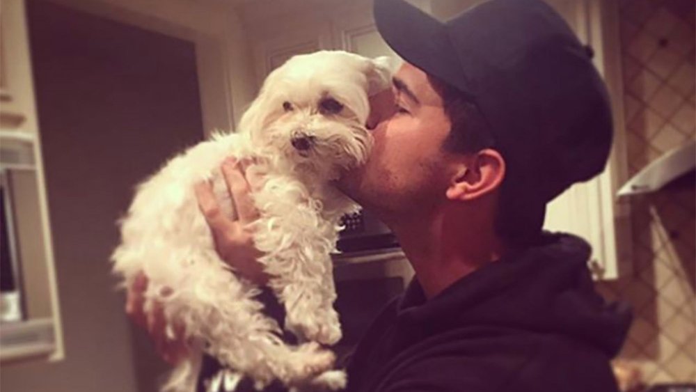 Taylor Lautner tenant et embrassant son chien défunt, Roxy