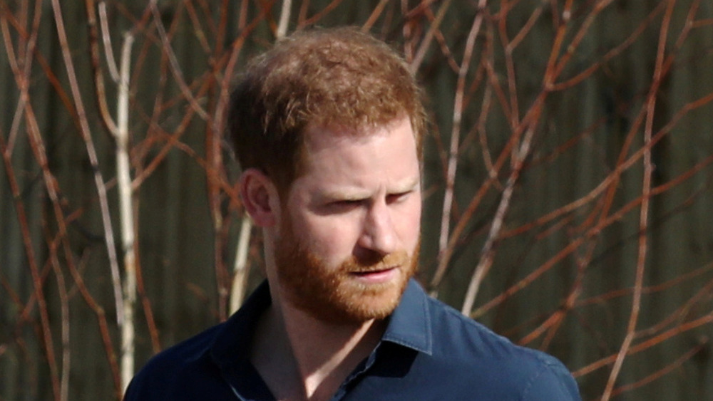 Le biographe critique le prince Harry pour avoir complètement changé ses habitudes