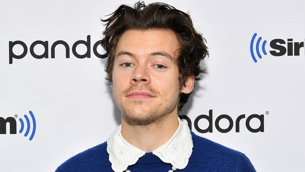 Le camée dans le nouveau clip de Harry Styles fait tourner les têtes