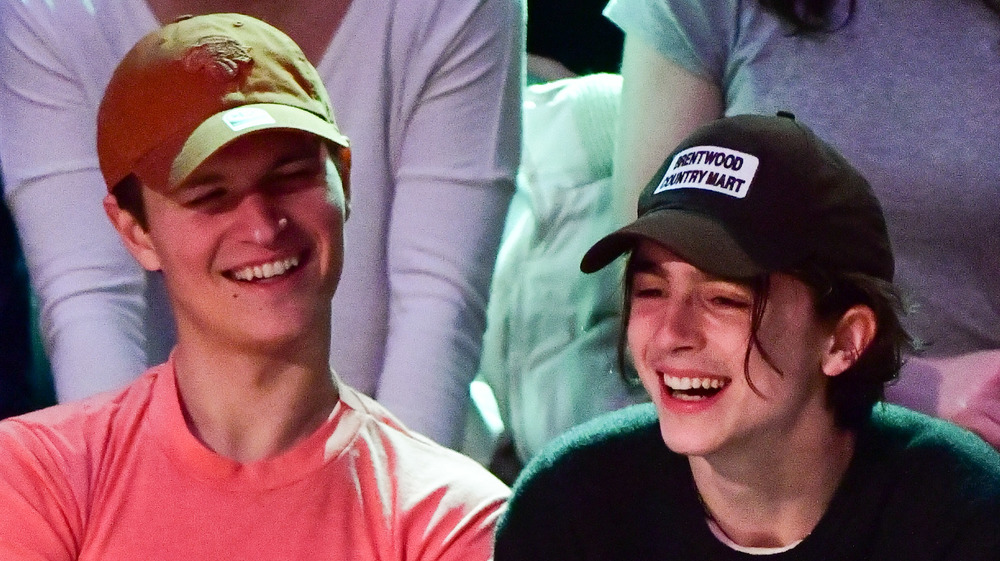 Ansel Elgort assis à un match de basket, riant, portant un t-shirt et un chapeau; Timothée Chalamet assis à un match de basket, riant, coiffé d'un chapeau