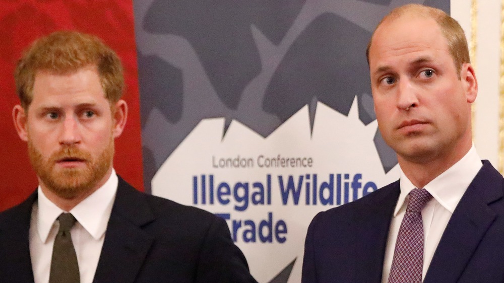 Le prince Harry et le prince William regardant sur le côté