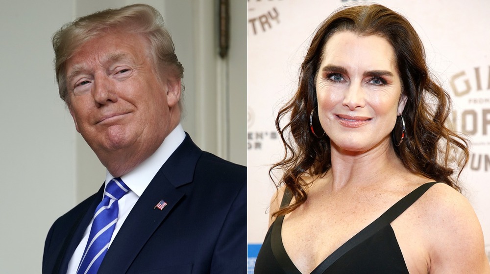 La ligne de ramassage super maladroite utilisée par Donald Trump sur Brooke Shields