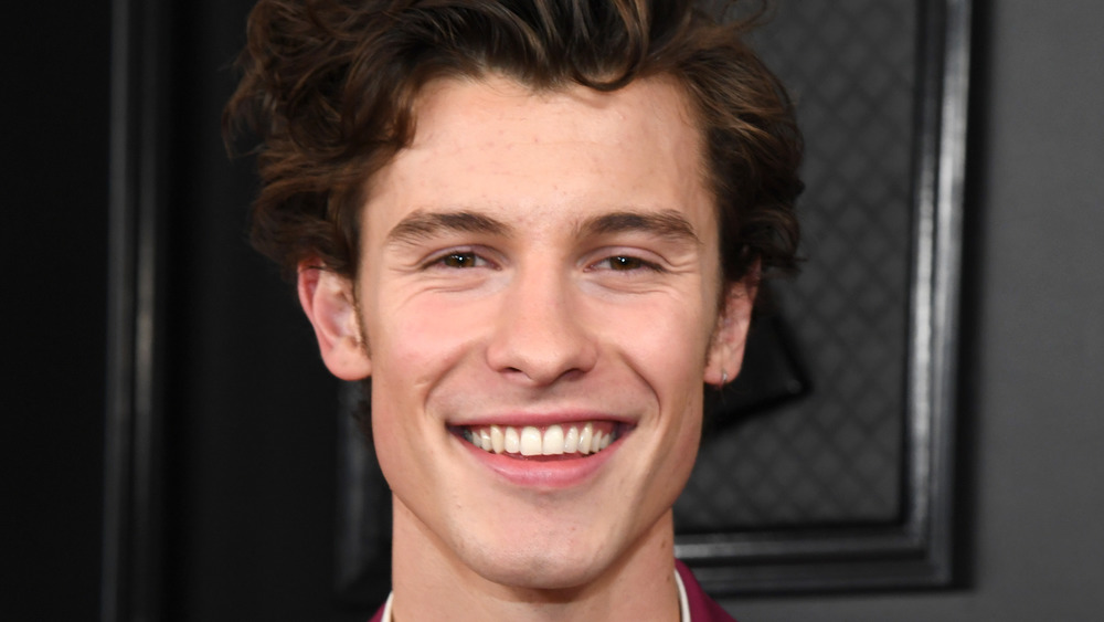 Pourquoi Shawn Mendes lève les sourcils avec sa dernière photo de Camila Cabello