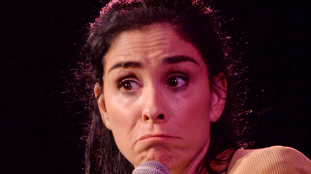 Pourquoi les fans fument contre Sarah Silverman