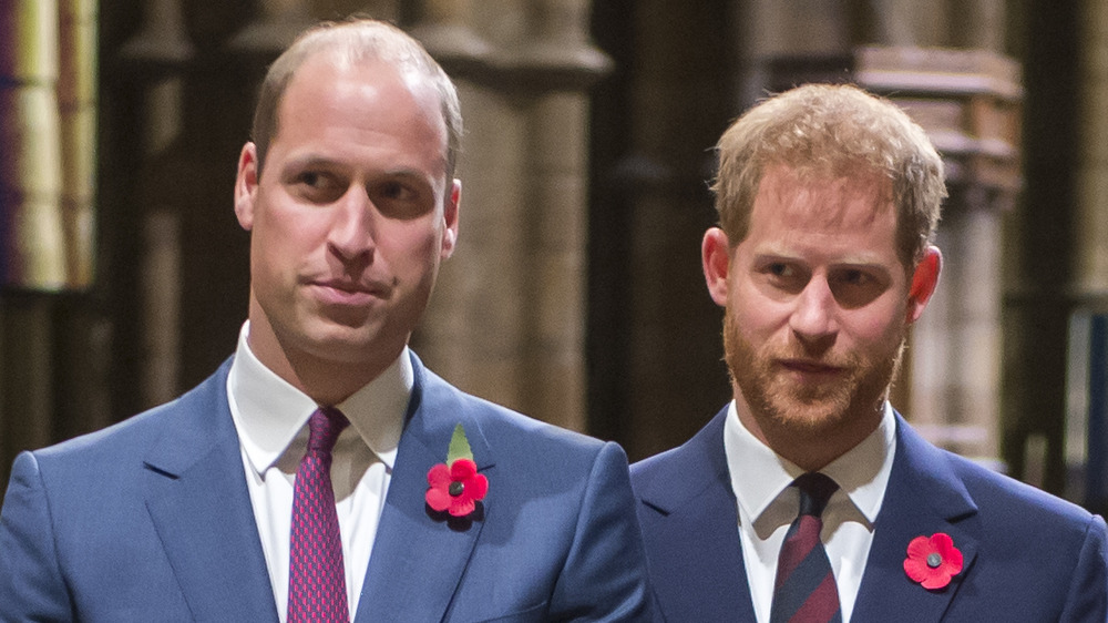 Le prince William et le prince Harry regardant à leur droite