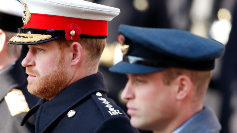 Le prince William et le prince Harry en uniforme