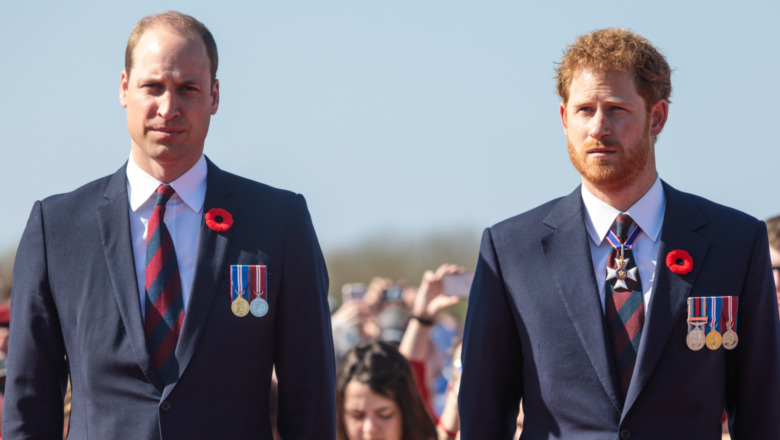 Le prince William et le prince Harry regardent avec des expressions sérieuses