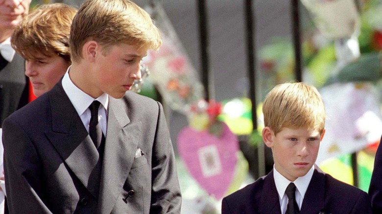 Le prince William et le prince Harry aux funérailles de la princesse Diana