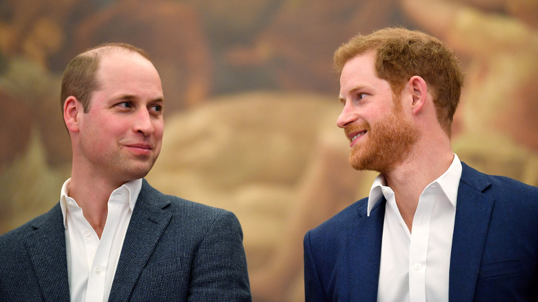 Prince William et Prince Harry