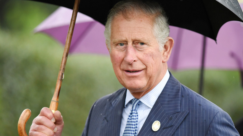 Parapluie Prince Charles