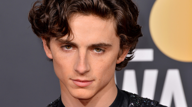 Timothée Chalamet aux Golden Globe Awards 2019