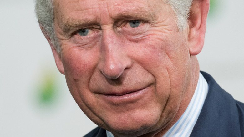 Combien de fois le prince Charles a-t-il vraiment rencontré Archie?