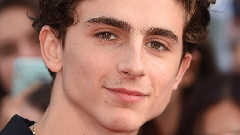 Le dernier sur le nouveau rôle intéressant de Timothée Chalamet