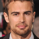 Les fans de la vraie raison sont tellement contrariés par Theo James