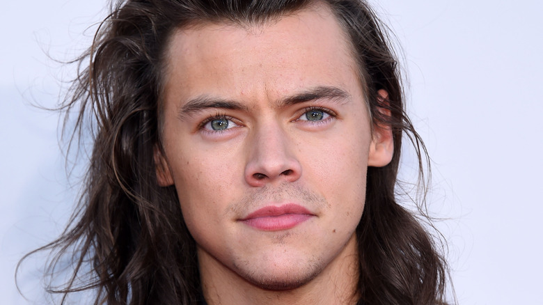 Voici combien vaut réellement Harry Styles