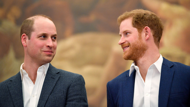 Le prince William et le prince Harry