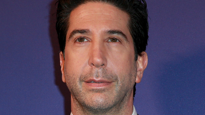 David Schwimmer sur tapis rouge