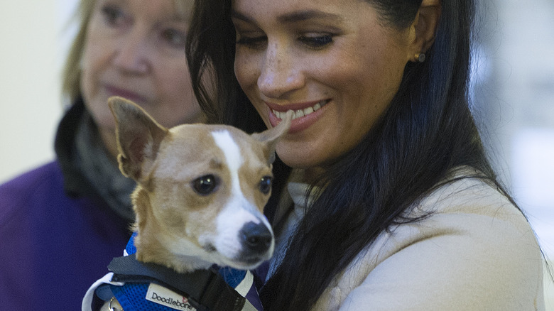 Meghan Markle souriant et tenant un chien