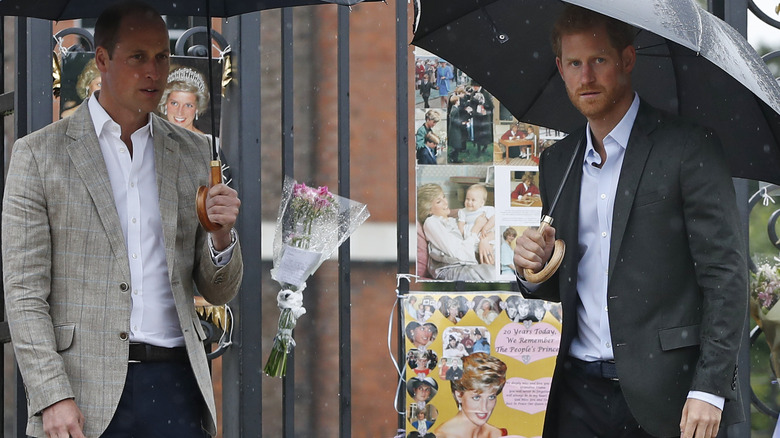 Le prince William et le prince Harry lors d'un mémorial pour la princesse Diana