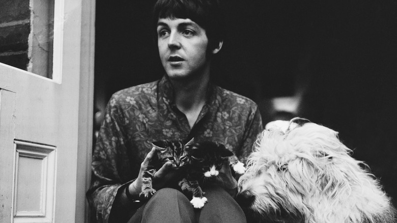 Paul McCartney avec sa chienne Martha et ses deux chats