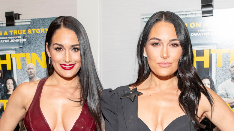 Nikki et Brie Bella sur le tapis rouge 