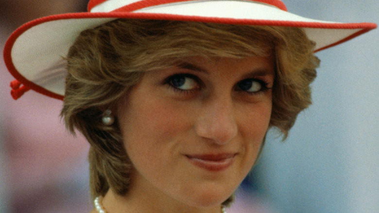 Ce dont le public est averti avant le dévoilement de la statue de la princesse Diana