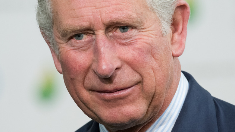 Que pense vraiment le prince Charles de la querelle de William et Harry ?