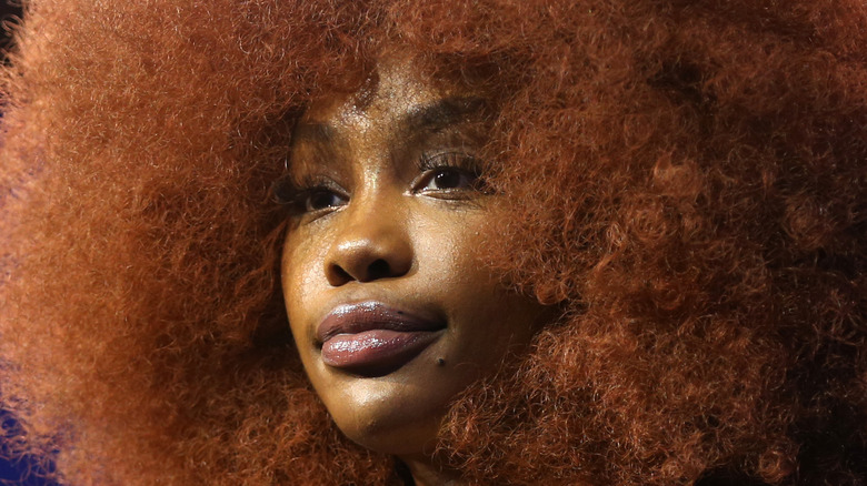 SZA et Summer Walker travaillent-ils ensemble ?