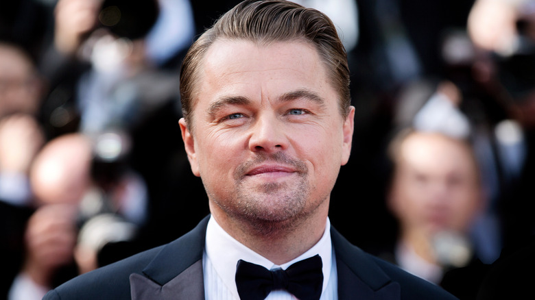 Leonardo DiCaprio sourit doucement